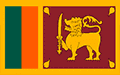 Copper Pipe Supplier in Sri lanka